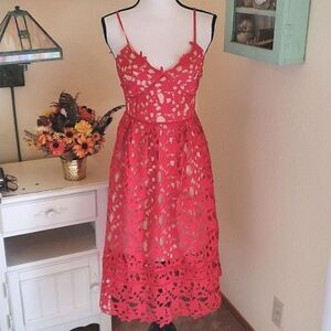 Beautiful Girl Red Lace Dress